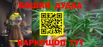 стаф Лесосибирск