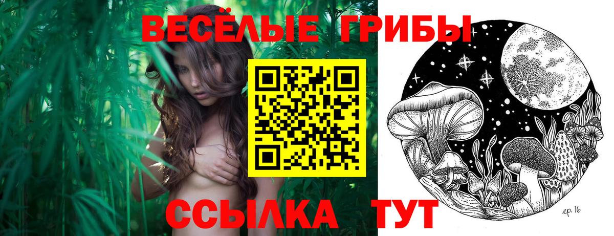 Галлюциногенные грибы мицелий Томск