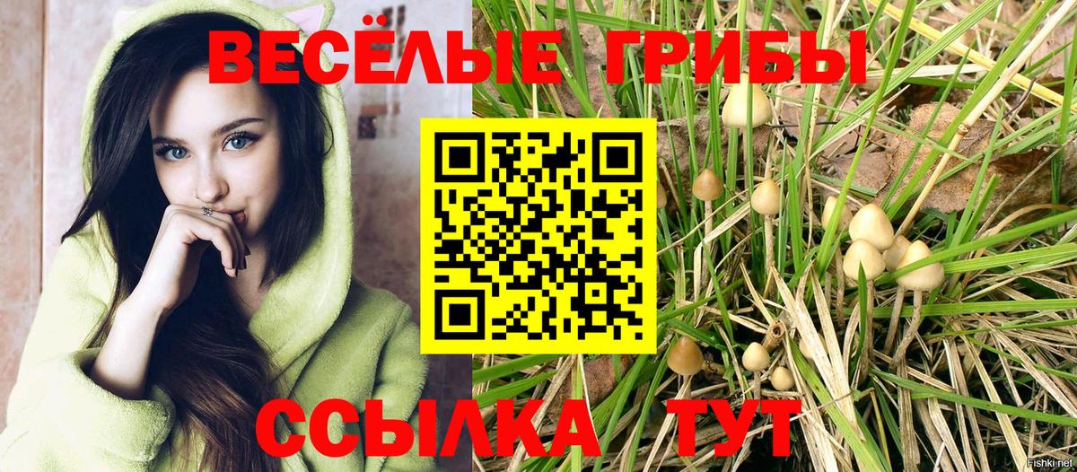 Галлюциногенные грибы MAGIC MUSHROOMS  Вход с VPN  Томск  Галлюциногенные грибы MAGIC MUSHROOMS 